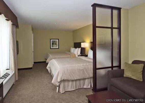 Comfort Suites Harvey - New Orleans West Bank Room photo
